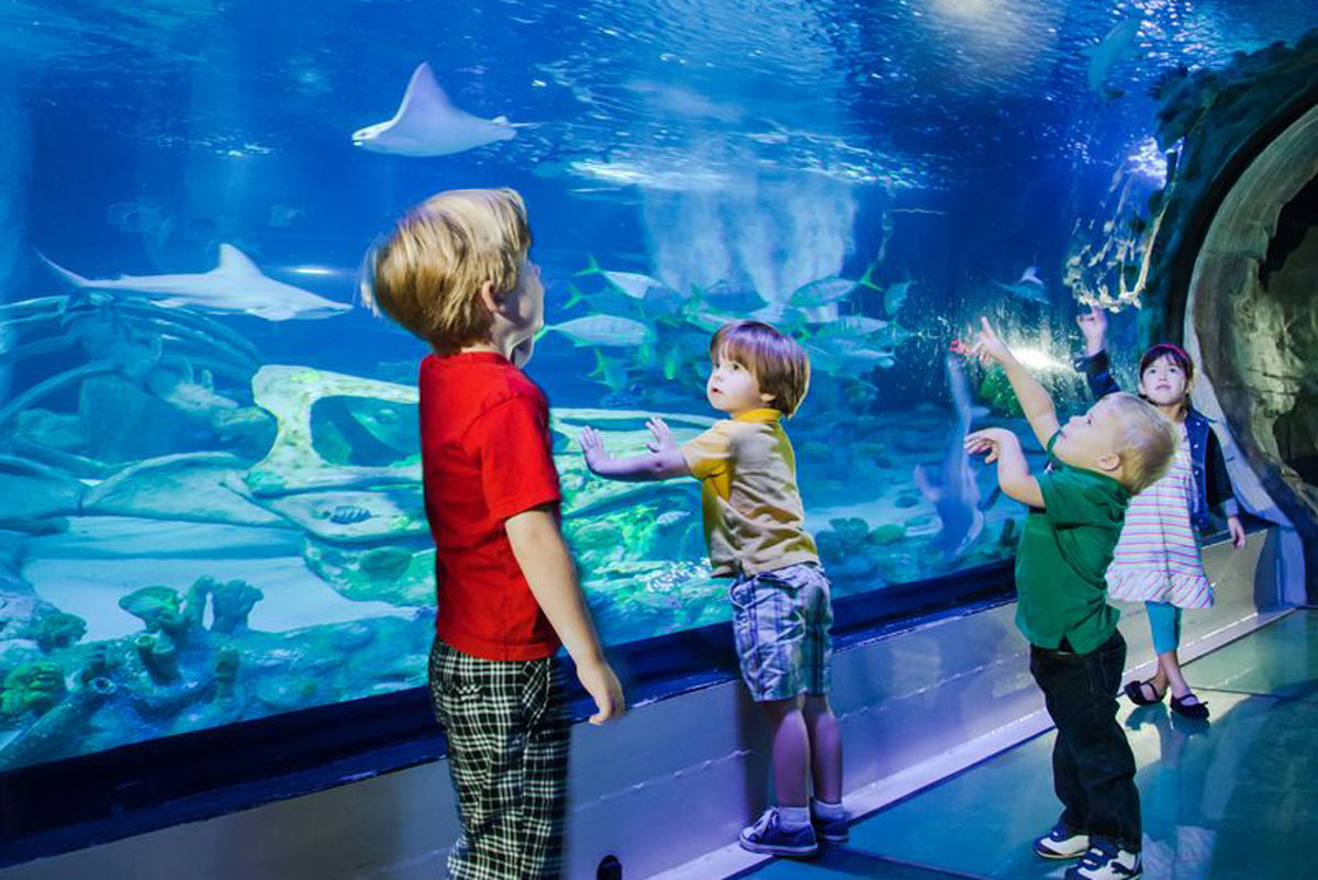 4-star hotel - Disneyland Paris - Dream Castle