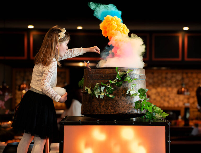 Hôtel 4 étoiles - Disneyland Paris - Dream Castle