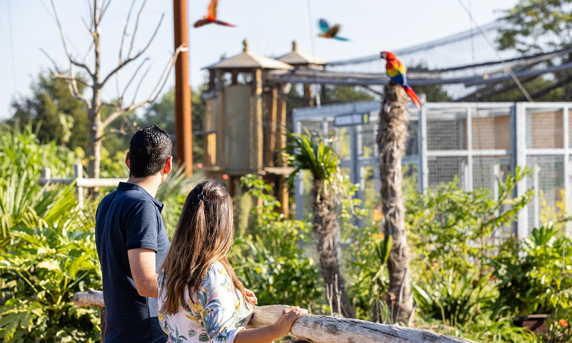 4-star hotel - Disneyland Paris - Dream Castle