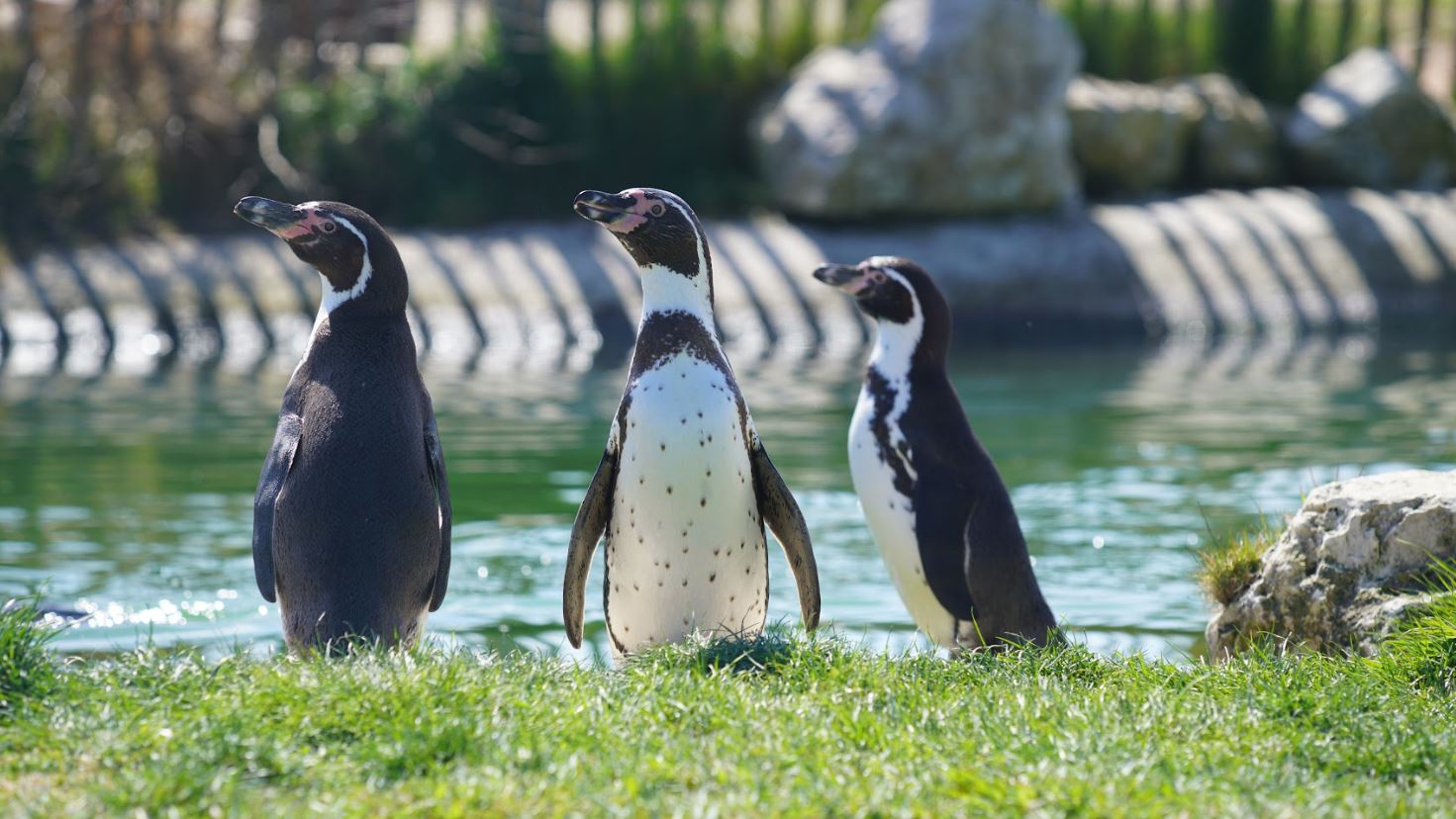 4-star hotel - Disneyland Paris - Dream Castle